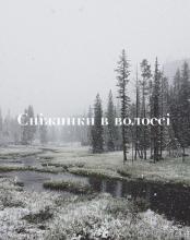 Сніжинки в волоссі