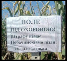 Лісова німфа