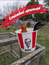 Смажені крильця