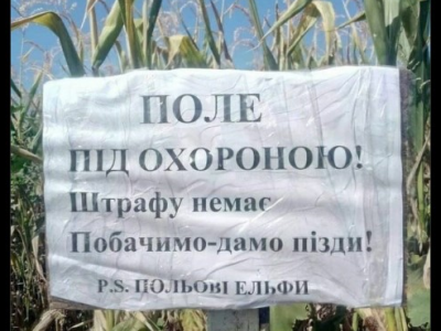 Лісова німфа